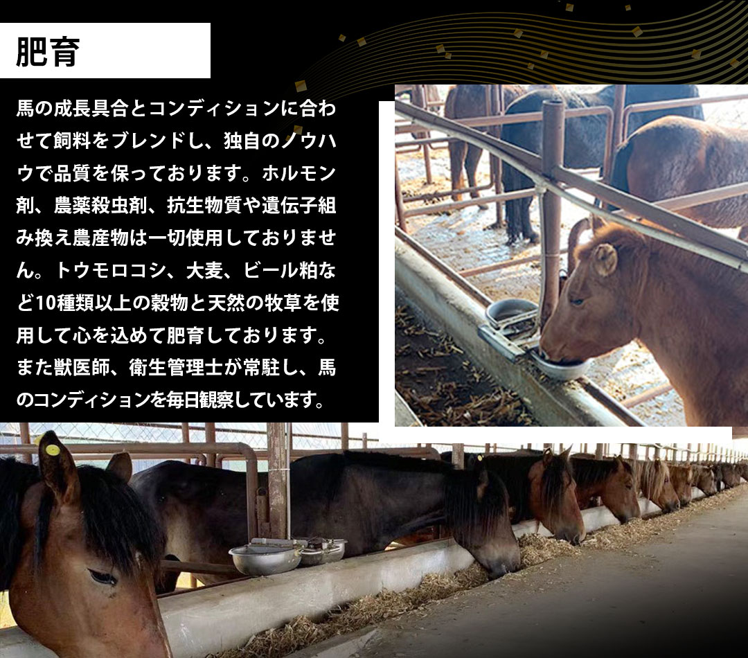 私たちについて