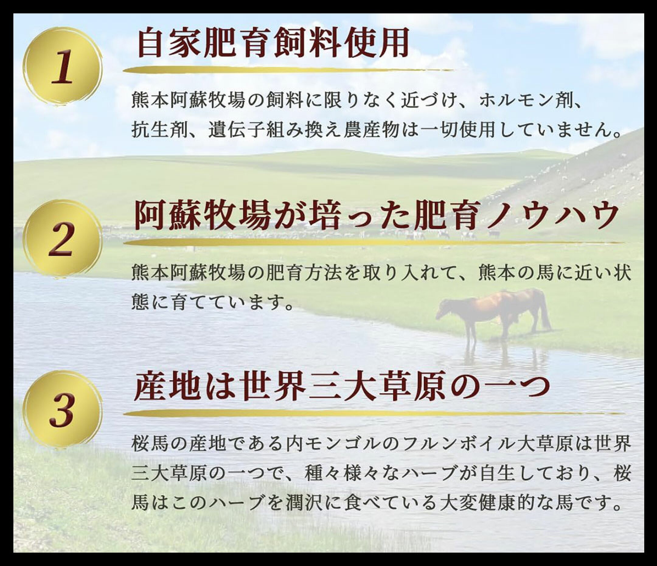 私たちについて